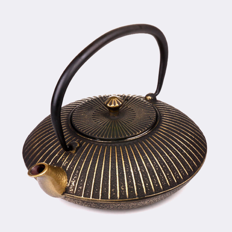 Ancient in Appearance, Luxurious Cast Iron Kettle